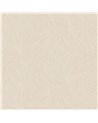 Hosta Noir Dore 76602242
