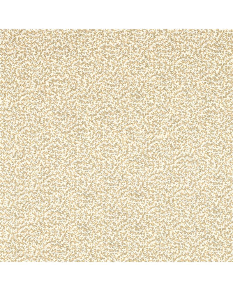 Truffle Wheat DARB227086