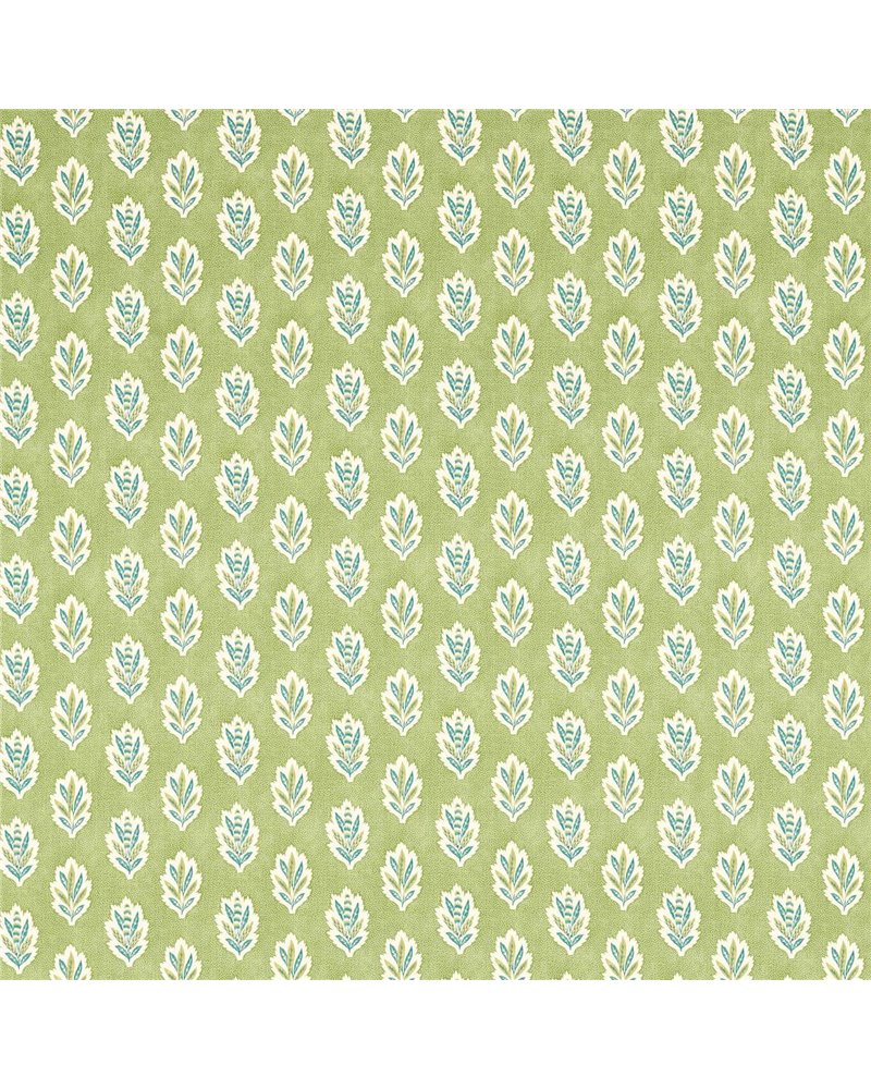 Sessile Leaf Artichoke DARB227076 Sessile Leaf Artichoke DARB227076
