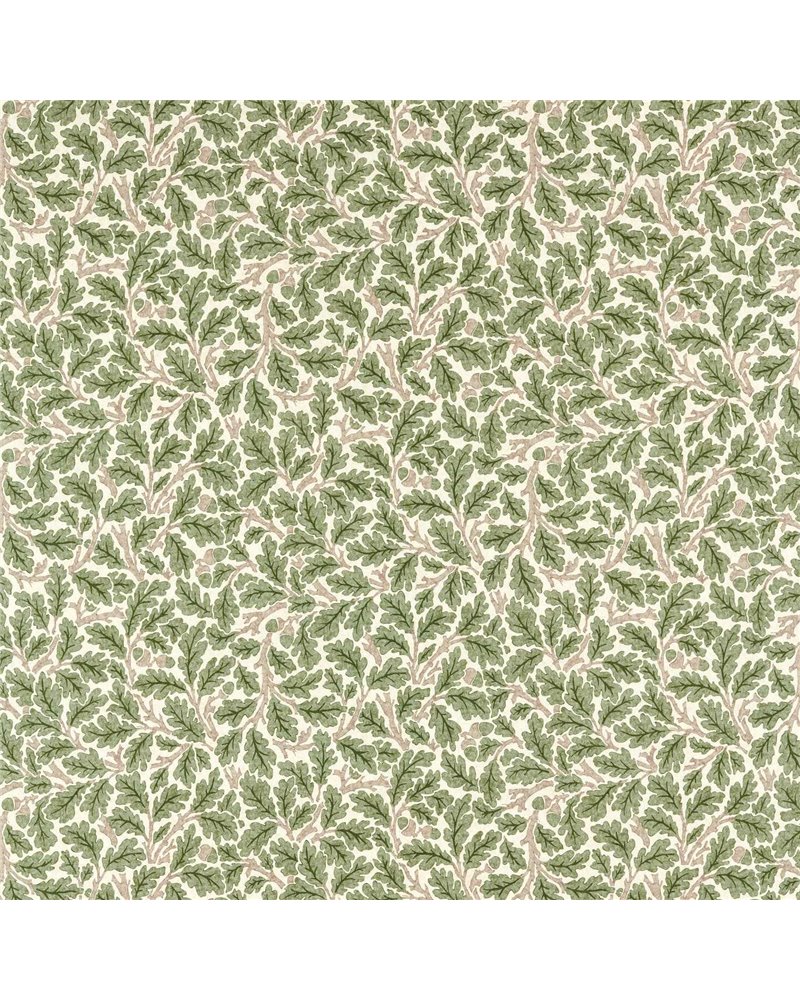 Oak Sage Green MAMB227121 Oak Sage Green MAMB227121