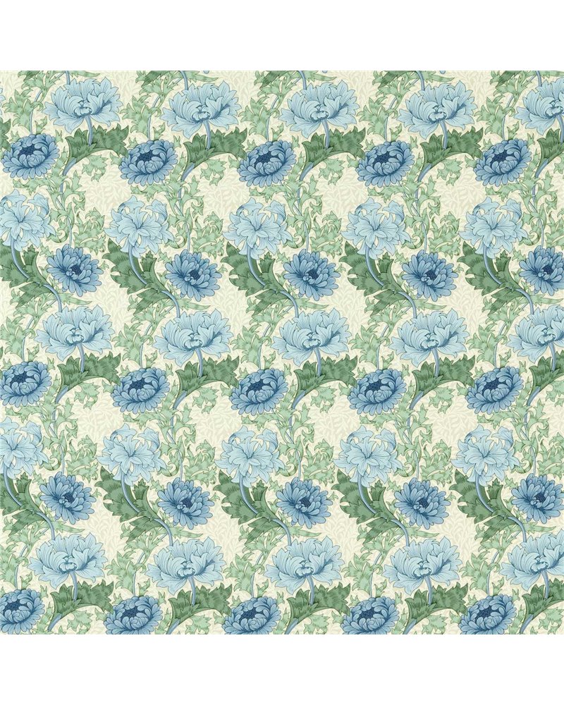 Chrysanthemum Indigo Bayleaf MAMB227099 Chrysanthemum Indigo Bayleaf MAMB227099
