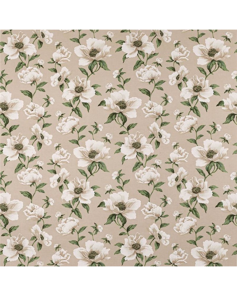 Bianca Nacre M4097-01 Bianca Nacre M4097-01