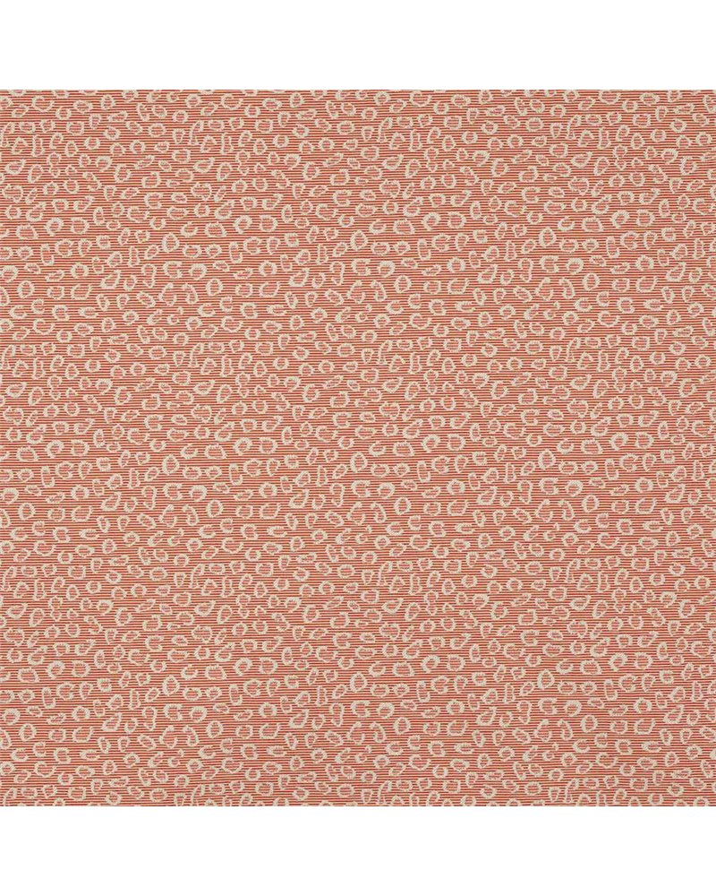 Suzanne Abricot M4089-01