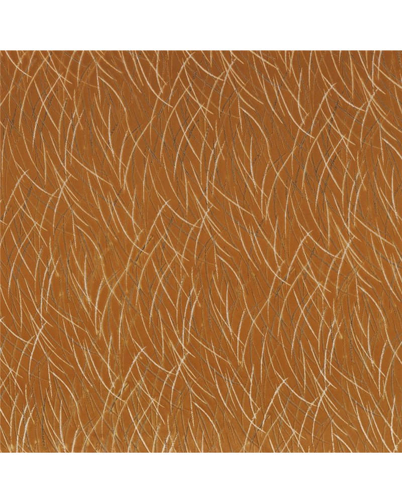 Euphorbe Ambre 46060881 Euphorbe Ambre 46060881