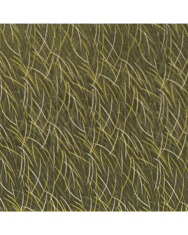 Euphorbe Kaki 46060412 Euphorbe Kaki 46060412