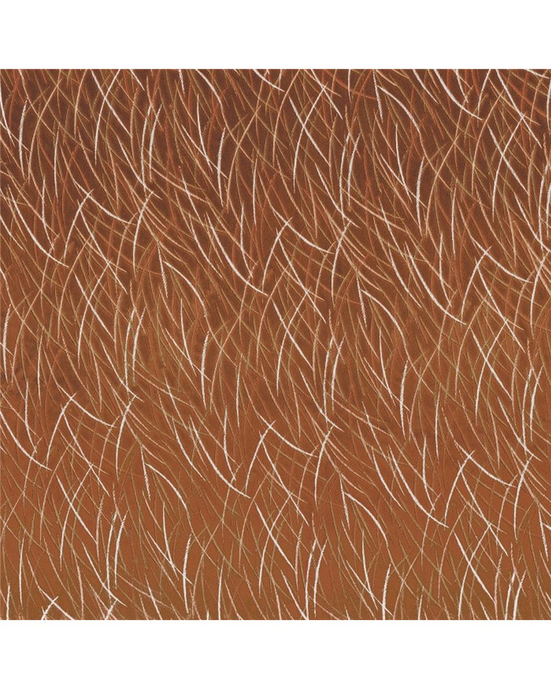 Euphorbe Terracotta 46060701 Euphorbe Terracotta 46060701