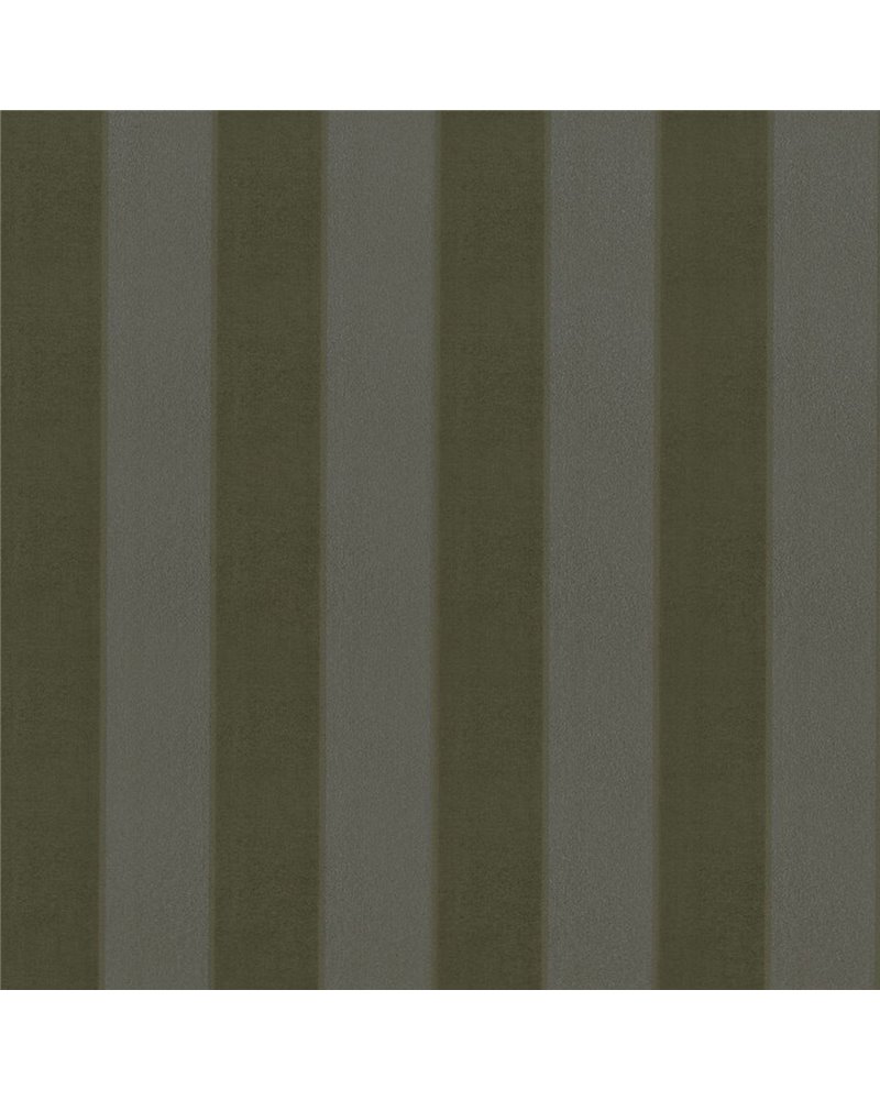 Zingana Kaki 46090395 Zingana Kaki 46090395