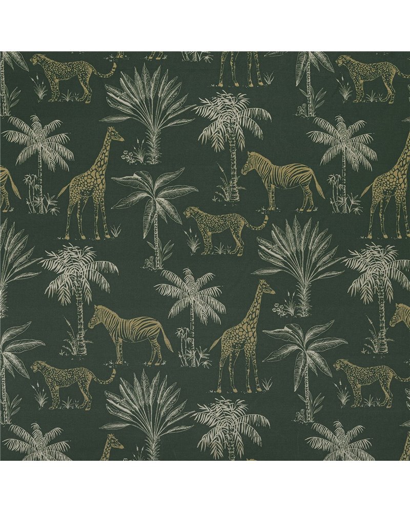 Safari Fern Safari Fern