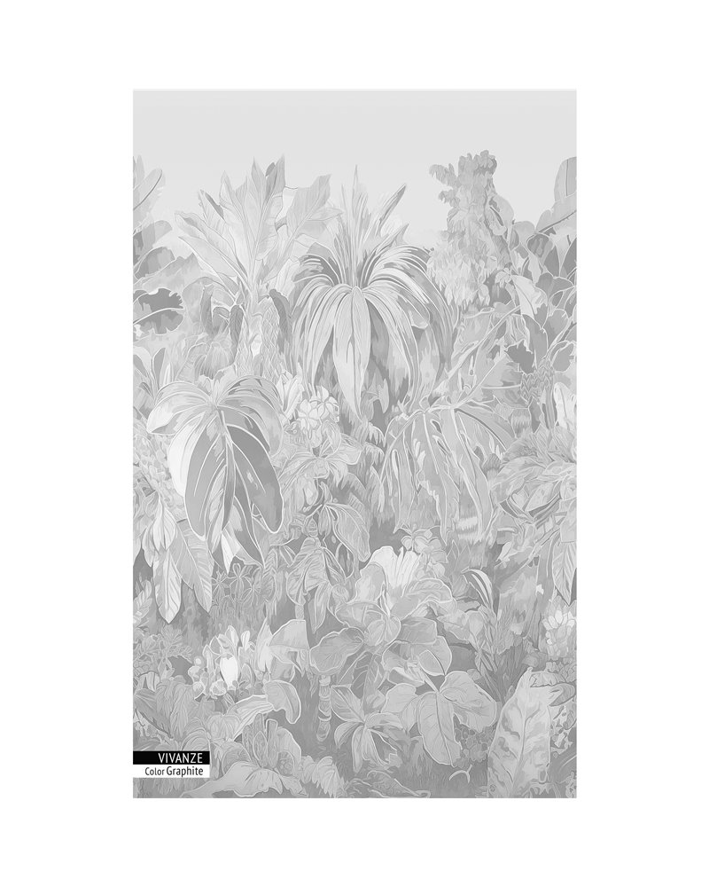 VIVANZE GRAPHITE VIVANZE GRAPHITE