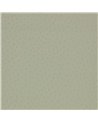 Ostrich Soft Jade K5355-02