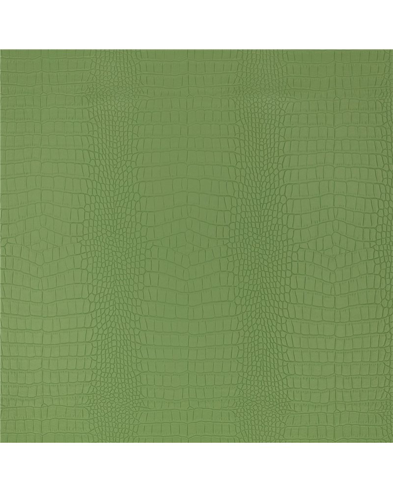 Croc Asparagus K5356-03 Croc Asparagus K5356-03