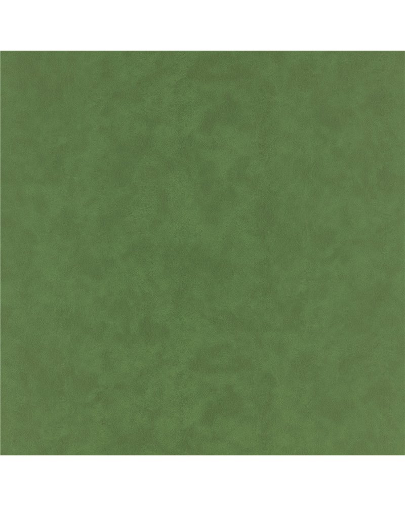 Hide Asparagus K5354-13 Hide Asparagus K5354-13