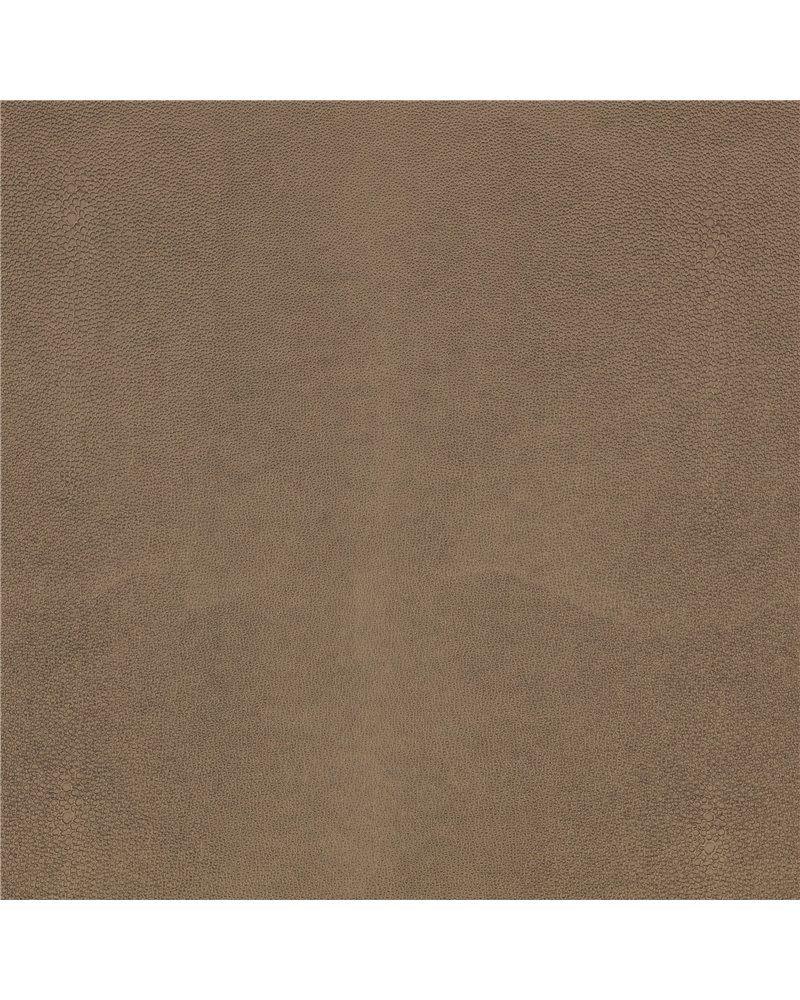 Shagreen Asteroid K5357-04