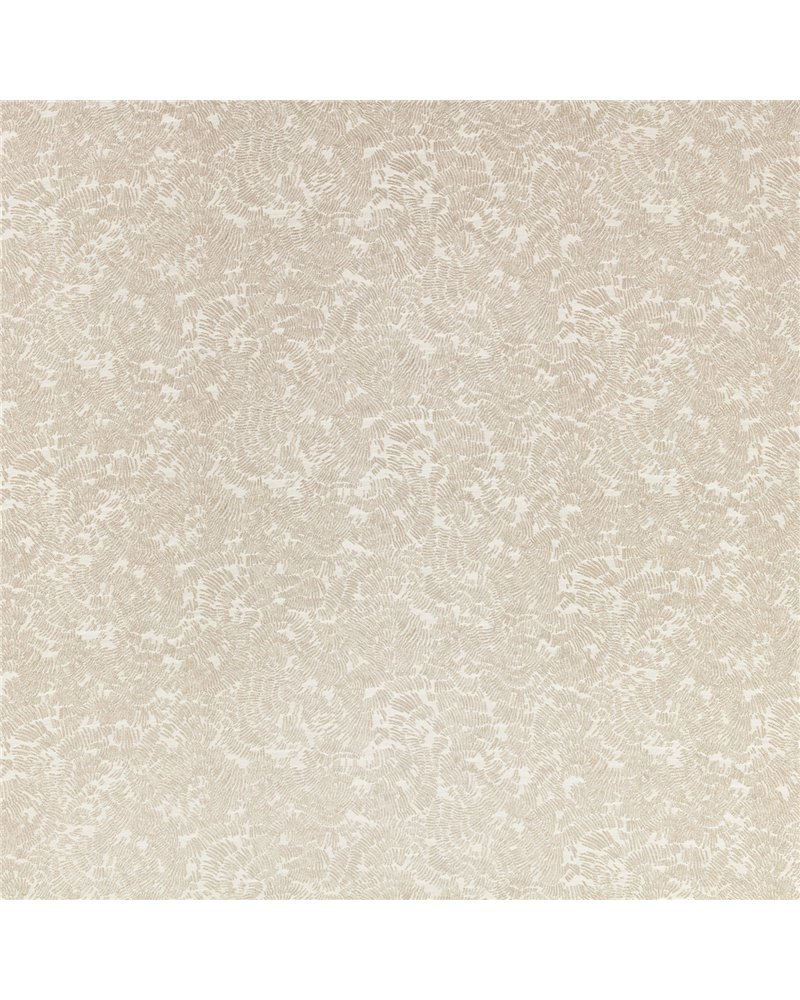 Shiri Quartize 8045-03 Shiri Quartize 8045-03