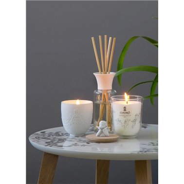Vela Missing you. Aroma...