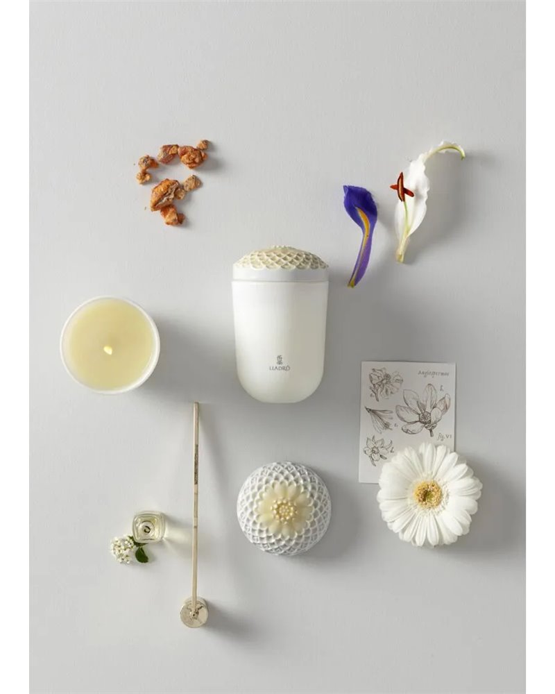 Vela Echoes of Nature. Aroma Flores del Trópico
