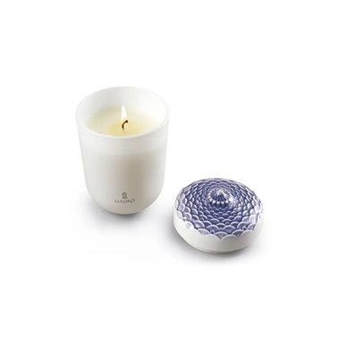 Vela Echoes of Nature....