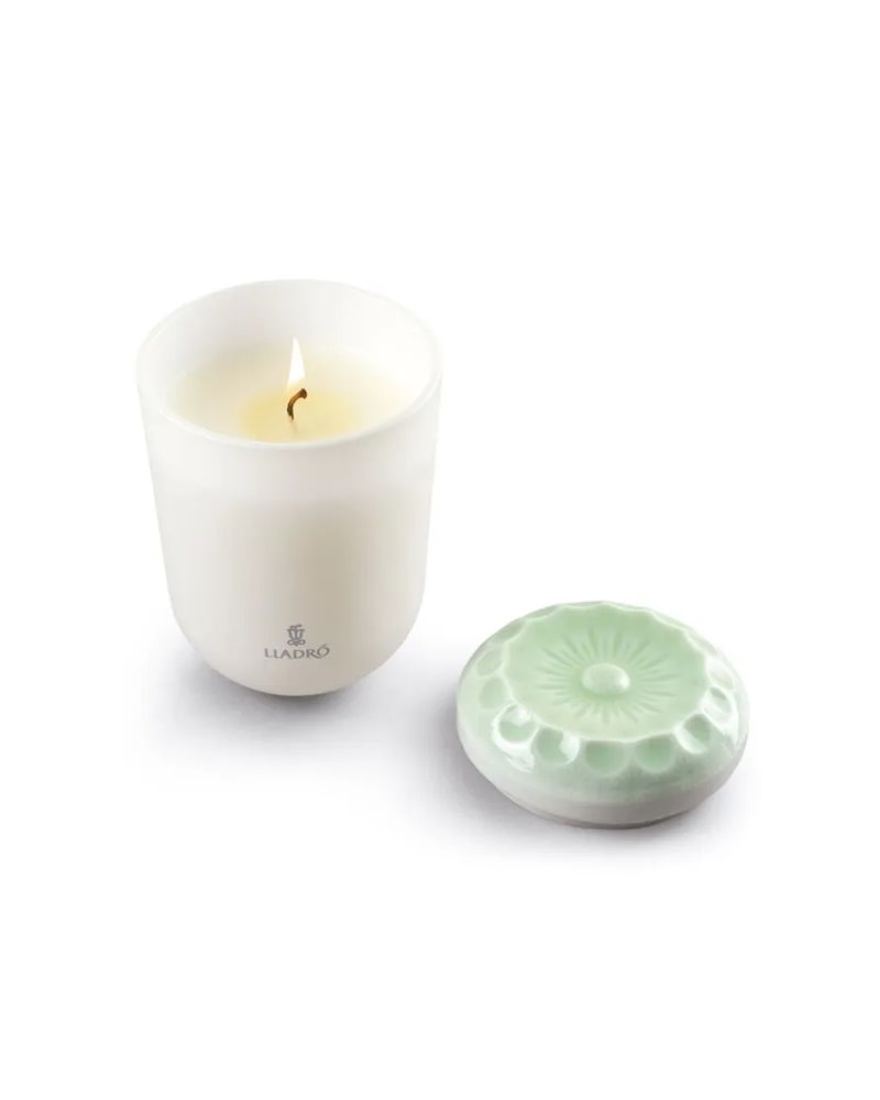 Vela Echoes of Nature. Aroma En el prado