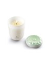 Vela Echoes of Nature. Aroma En el prado