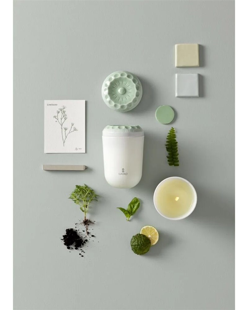 Vela Echoes of Nature. Aroma En el prado