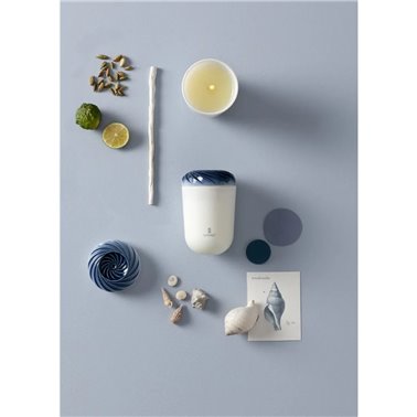 Vela Echoes of Nature....