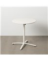 MESA AUXILIAR PLEGABLE BLANCO ACERO 70 X 70 X 72 CM