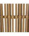 S/2 PARAGÜEROS NATURAL BAMBÚ 24,50 X 24,50 X 62 CM