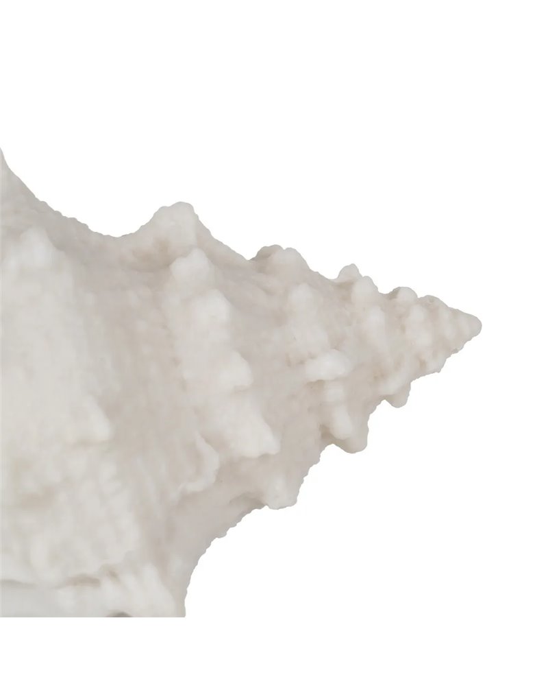 LÁMPARA MESA CONCHA ARENISCA 18 X 11,80 X 11 CM