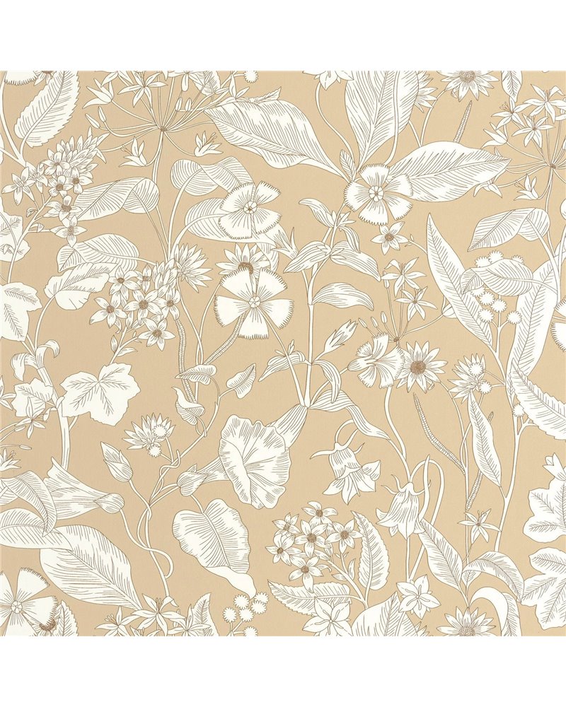 Lightness Beige 106601010