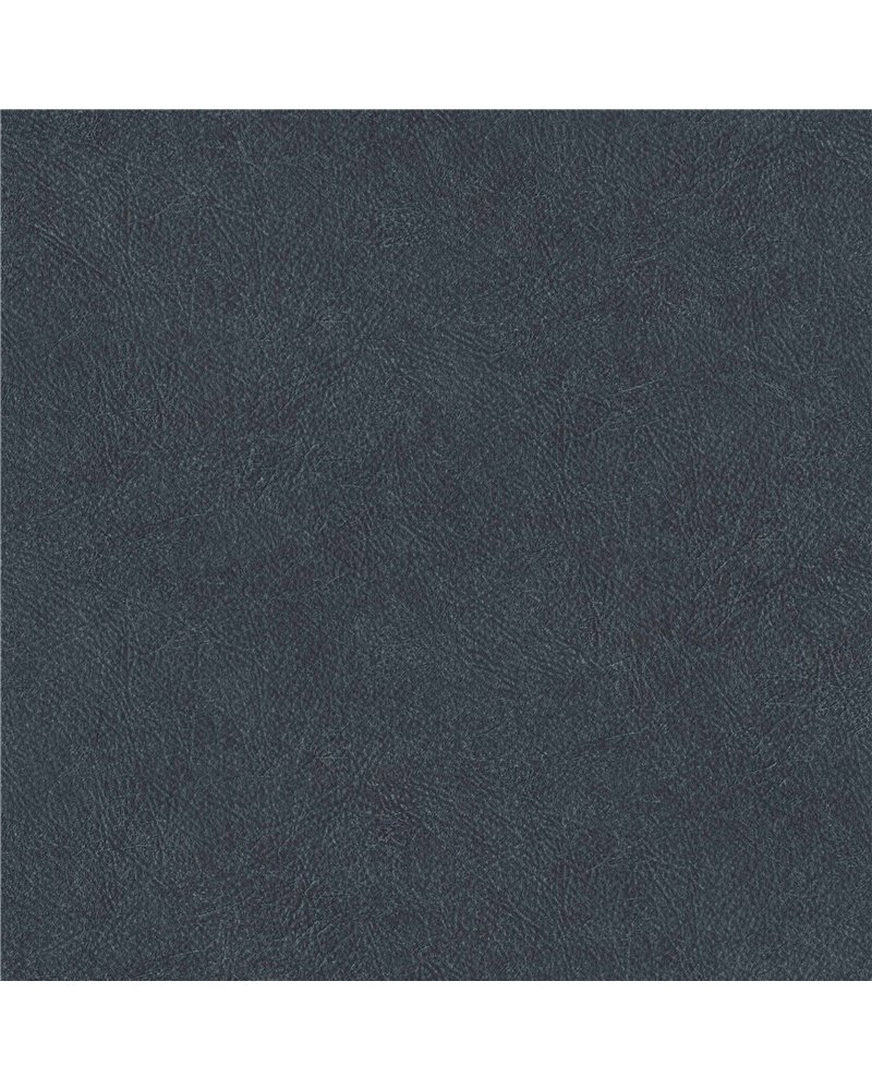 Cuero 27 B00765