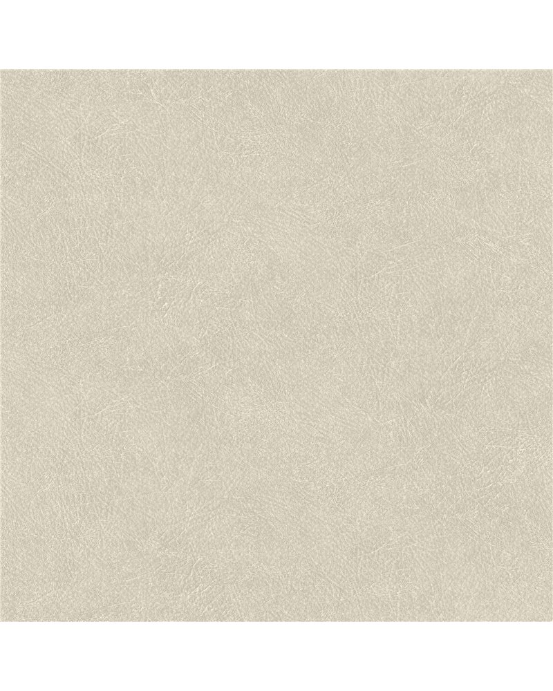 Cuero 20 B00772