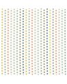 Dotty Sorbet V331903