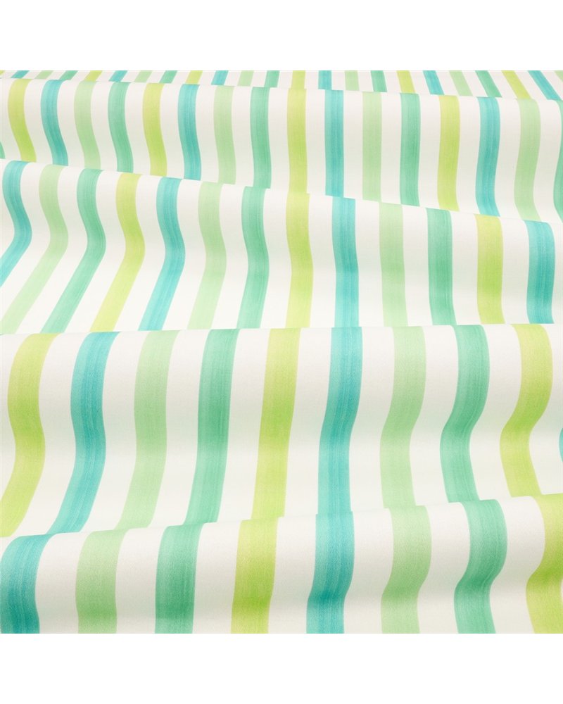 Candy Cane Rainforest V361801