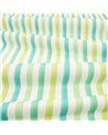 Candy Cane Rainforest V361801