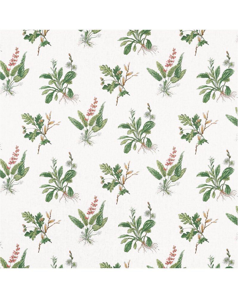 Woodland Green and Blush AF57852