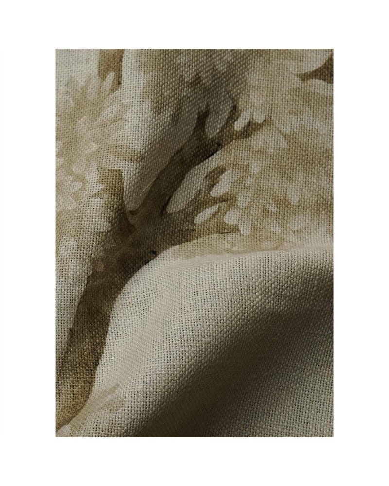 Field Maple Bone TFIEBON