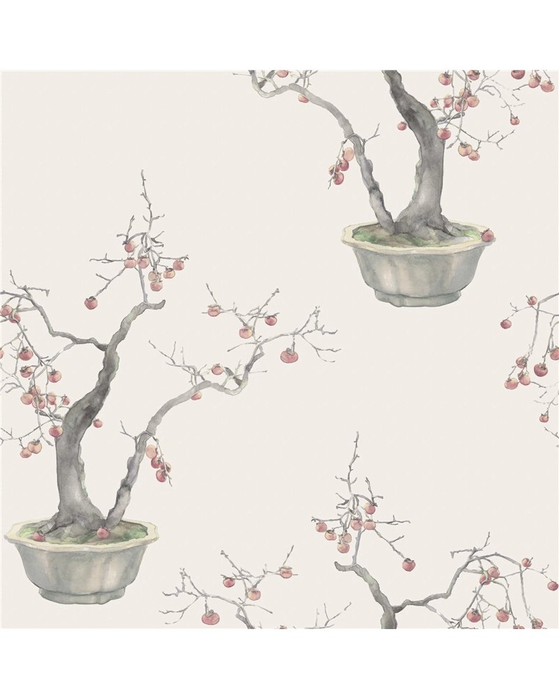Kaki Persimmon Silver 126-2004 Kaki Persimmon Silver 126-2004