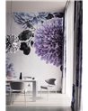 Colette 01