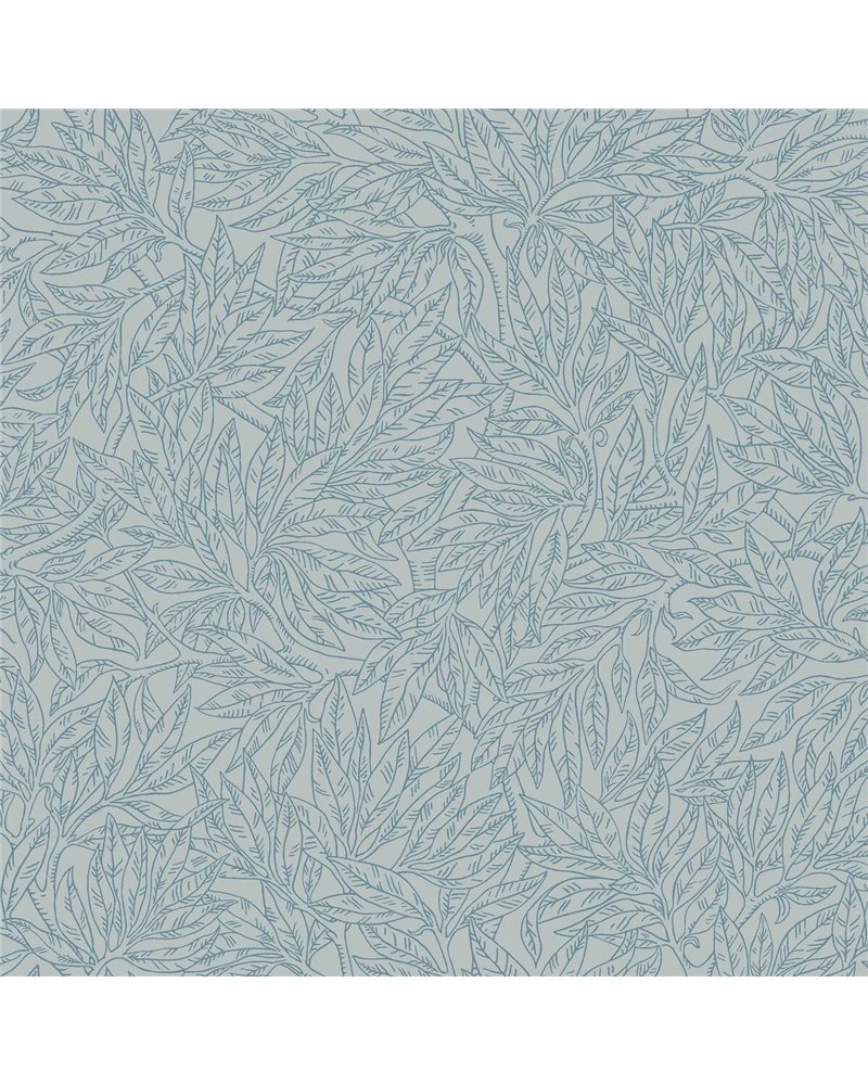 Salix Alba 7788 Salix Alba 7788