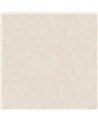 Bellis Angora ROM101