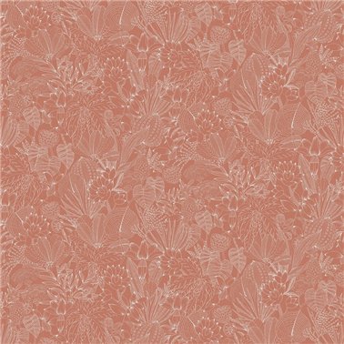Bellis Carnelian ROM104