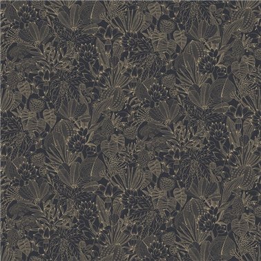 Bellis Niagara ROM103