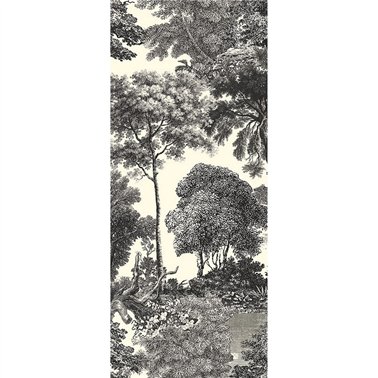 Salcey Forest DGSAL1012