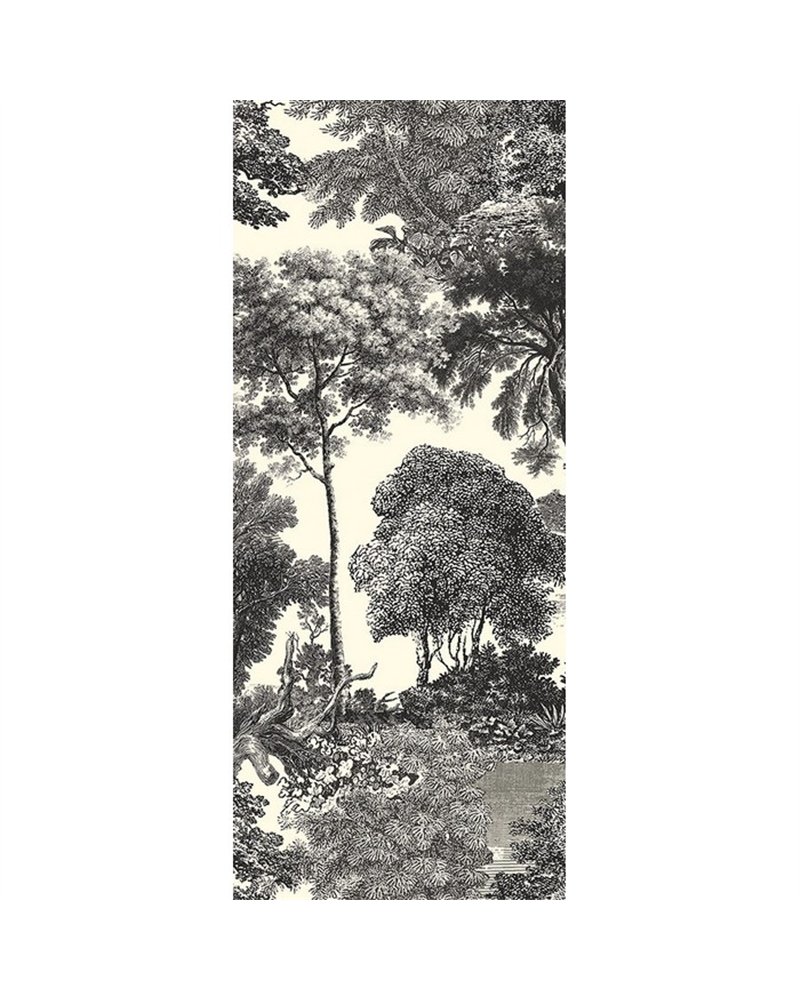 Salcey Forest DGSAL1012