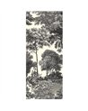 Salcey Forest DGSAL1012