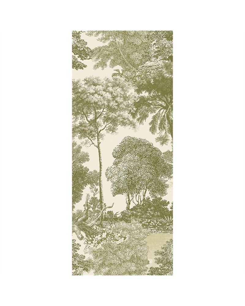 Salcey Olive DGSAL1032