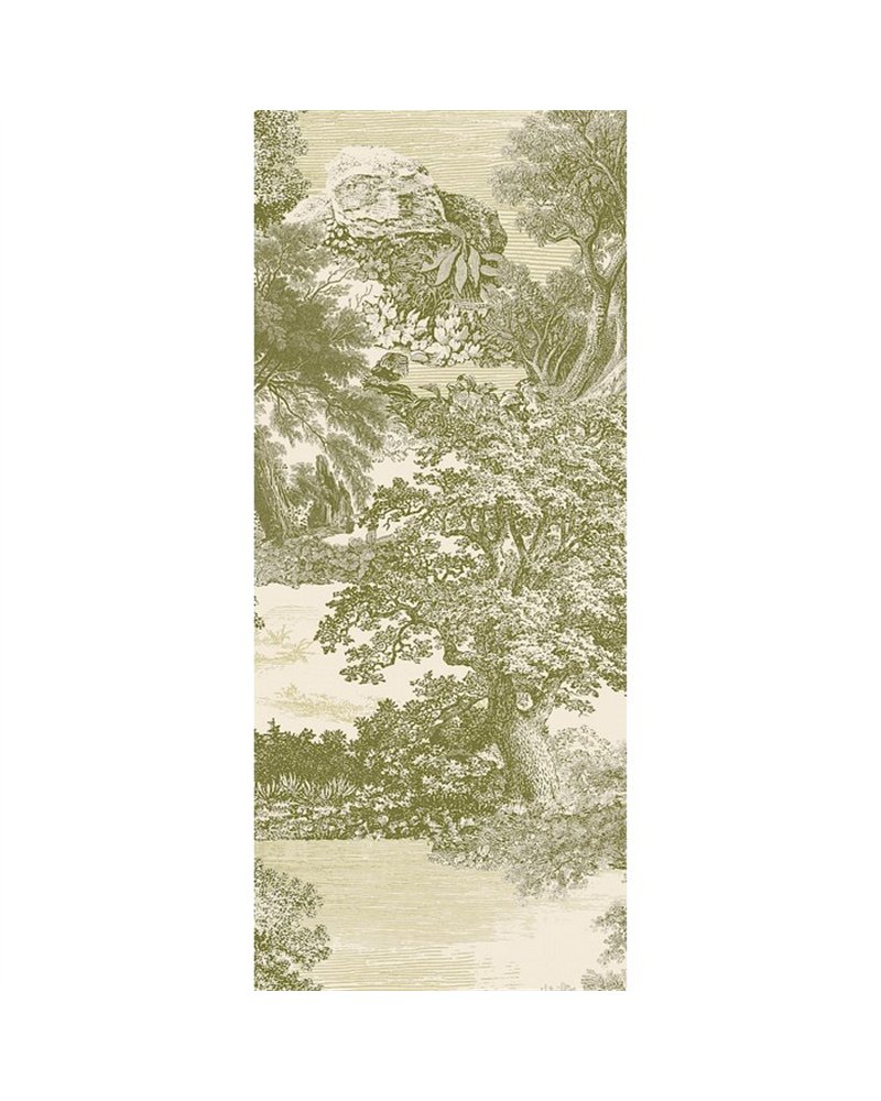 Salcey Olive DGSAL1033