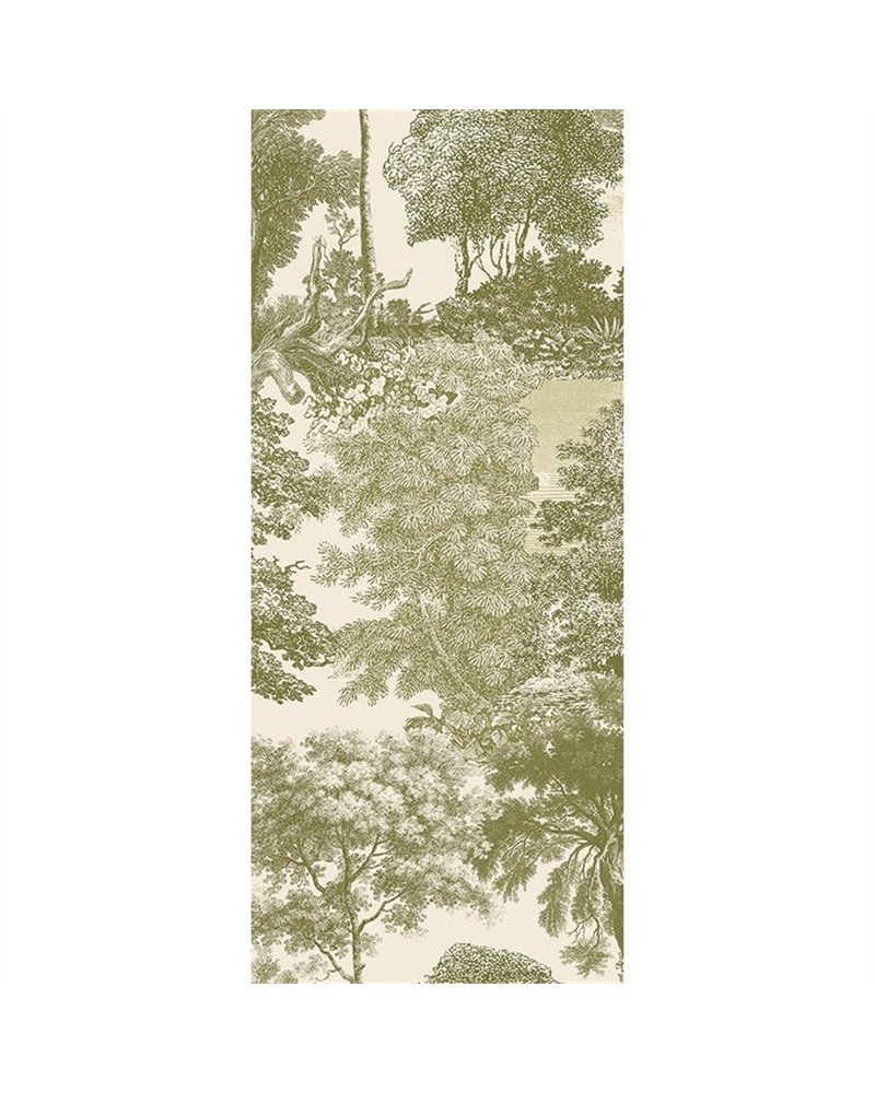 Salcey Olive DGSAL1034
