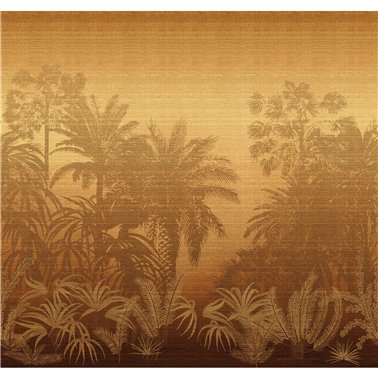 Awarra Sunrise DGZON1033