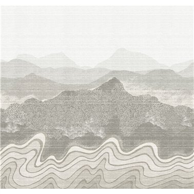 Nebula Silver DGZON2011